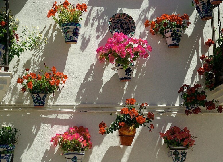 Picture 14 for Activity Granada: Albaicín, Sacromonte & Museum of Caves Walking Tour