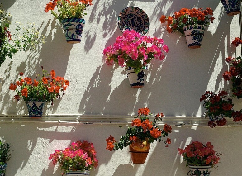 Picture 14 for Activity Granada: Albaicín, Sacromonte & Museum of Caves Walking Tour