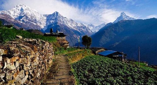 Pokhara: 3 dager Panchase Trek