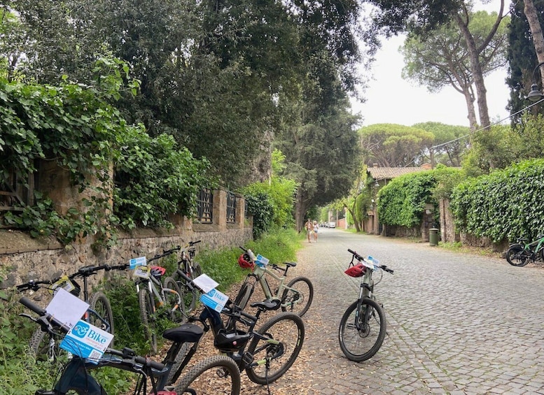 Picture 8 for Activity Rome: Appian Way Guided Tour on E-Bike with Wine Tasting