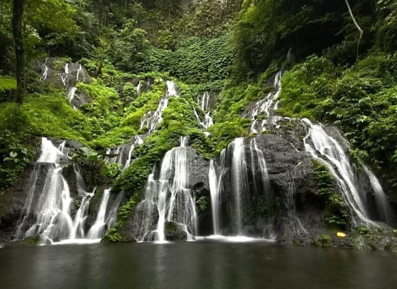 Picture 9 for Activity Munduk : Rainforest trekking, Lake canoeing & best waterfall