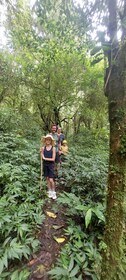 Munduk : Jungle Trekking,Canoeing & Balinese Cooking class