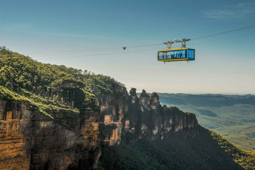 Picture 4 for Activity From Sydney: Blue Mountains, Scenic World & Sydney Zoo Tour