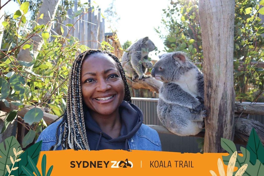 Picture 9 for Activity From Sydney: Blue Mountains, Scenic World & Sydney Zoo Tour