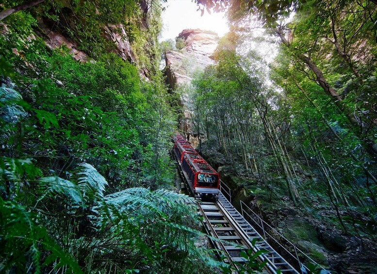 Picture 1 for Activity From Sydney: Blue Mountains, Scenic World & Sydney Zoo Tour