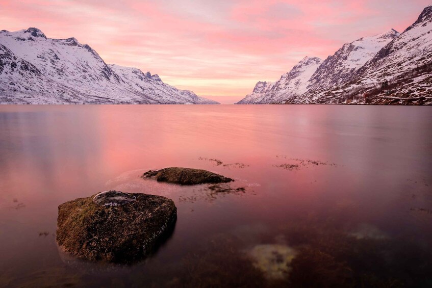 Picture 1 for Activity Tromsø: Fjords and Sommarøy Islands Tour with Salmon Picnic