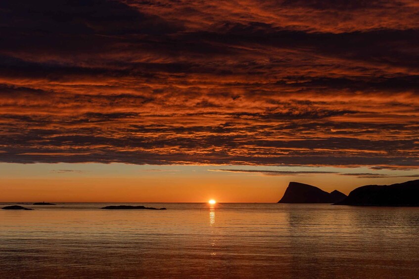 Picture 2 for Activity Tromsø: Fjords and Sommarøy Islands Tour with Salmon Picnic