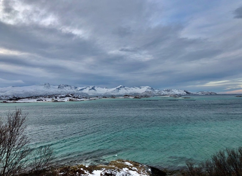 Picture 8 for Activity Tromsø: Fjords and Sommarøy Islands Tour with Salmon Picnic