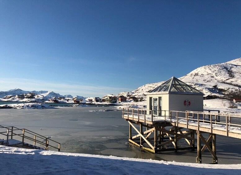 Picture 11 for Activity Tromsø: Fjords and Sommarøy Islands Tour with Salmon Picnic