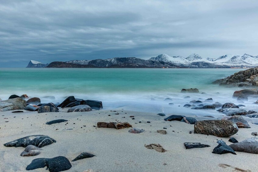 Picture 7 for Activity Tromsø: Fjords and Sommarøy Islands Tour with Salmon Picnic