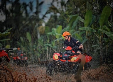 Ubud Sepeda Gorilla Face Quad, Ayunan Hutan, Air Terjun & Makan