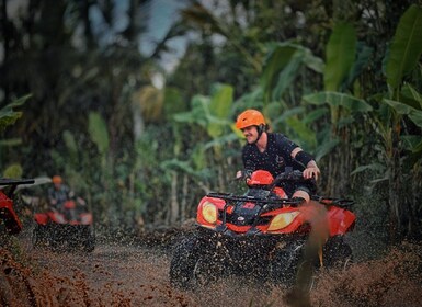 Ubud : Gorilla Face Quad Bike, Jungle Swing, Waterfall et Meal