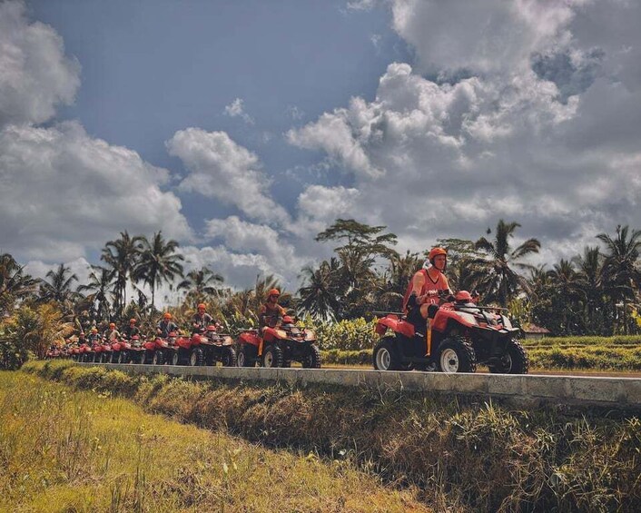 Picture 21 for Activity Ubud: Gorilla Face Quad Bike, Jungle Swing, Waterfall & Meal