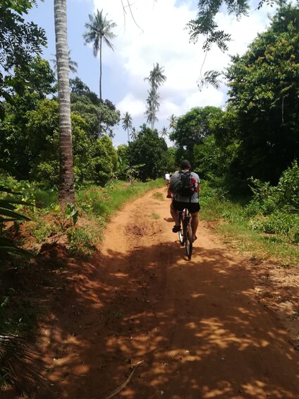 Picture 11 for Activity Spice Farm Bike Tour: Pedal Through Aromatic Adventures