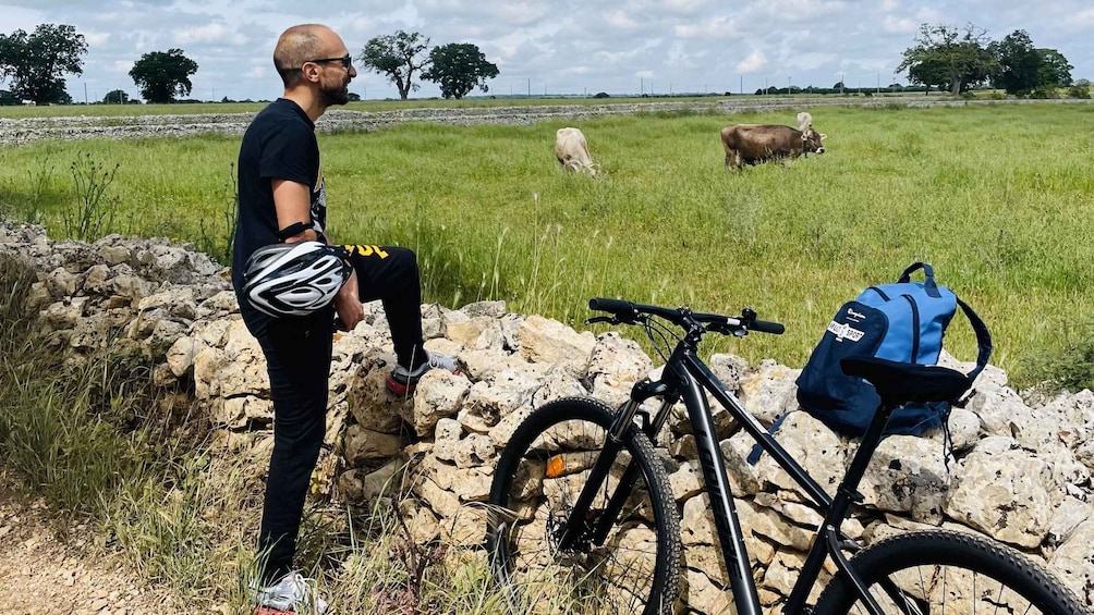 Picture 2 for Activity Puglia/Bari: Ebike Tour & Wine