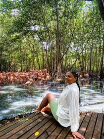 Tour de día completo: Aviario Nacional y Playa Blanca+ Plancton