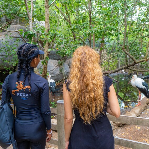 Picture 3 for Activity National Aviary and Playa Blanca Plankton Full-Day Tour