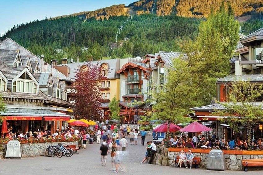 Private Whistler Full Day Tour from Vancouver
