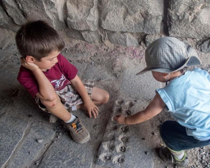 Picture 3 for Activity Day Trip to the Famous Desert Castles