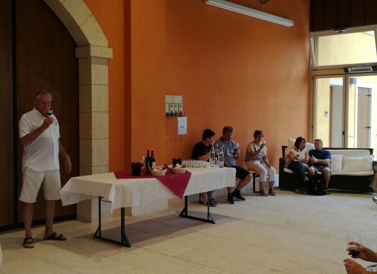 Picture 4 for Activity Lake Garda: Valpolicella Wine and Food Tour