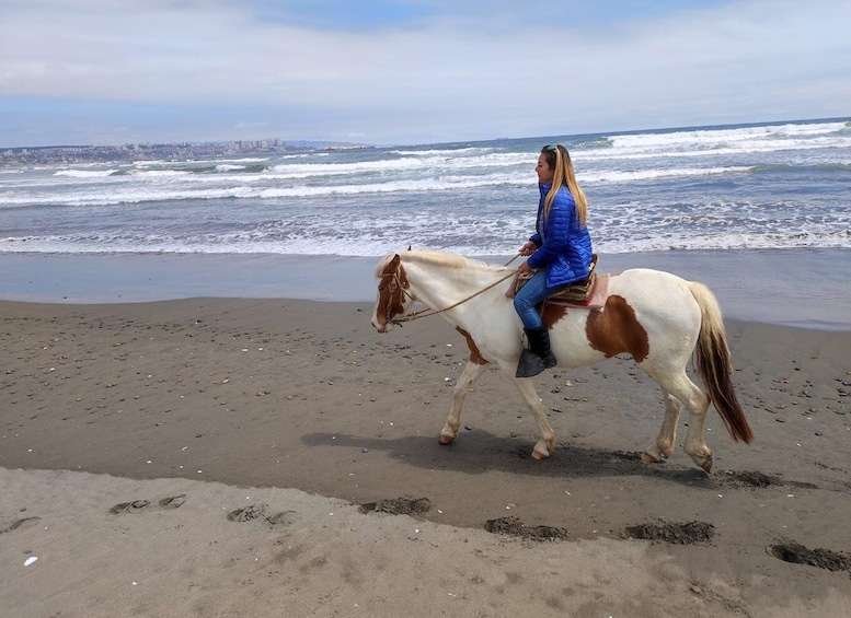 Picture 7 for Activity Horse Riding & Barbecue, Ritoque Sand Dunes & Beach F. Valpo