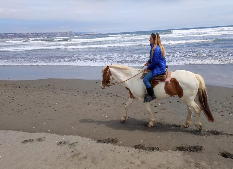 Picture 7 for Activity Horse Riding & Barbecue, Ritoque Sand Dunes & Beach F. Valpo