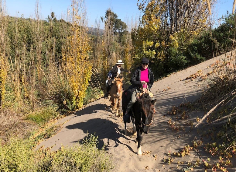 Picture 5 for Activity Horse Riding & Barbecue, Ritoque Sand Dunes & Beach F. Valpo