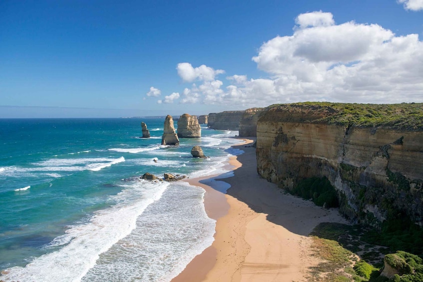 Picture 4 for Activity Luxe Bus Great Ocean Road Coastal Spectacular