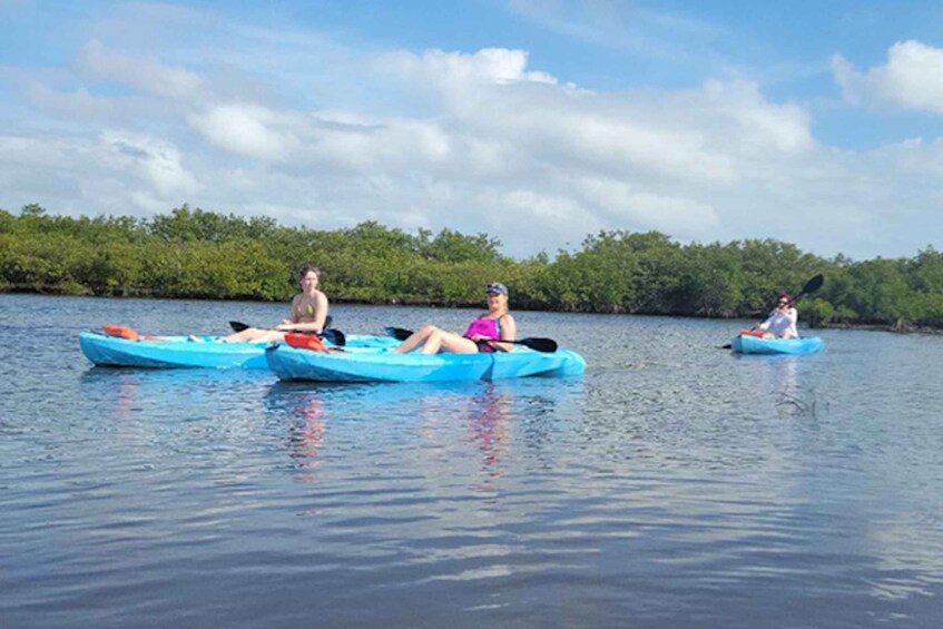 Picture 2 for Activity New Smyrna: Half-Day Guided SUP or Kayak Waterways Tour