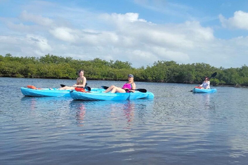 Picture 3 for Activity New Smyrna: Half-Day Guided SUP or Kayak Waterways Tour