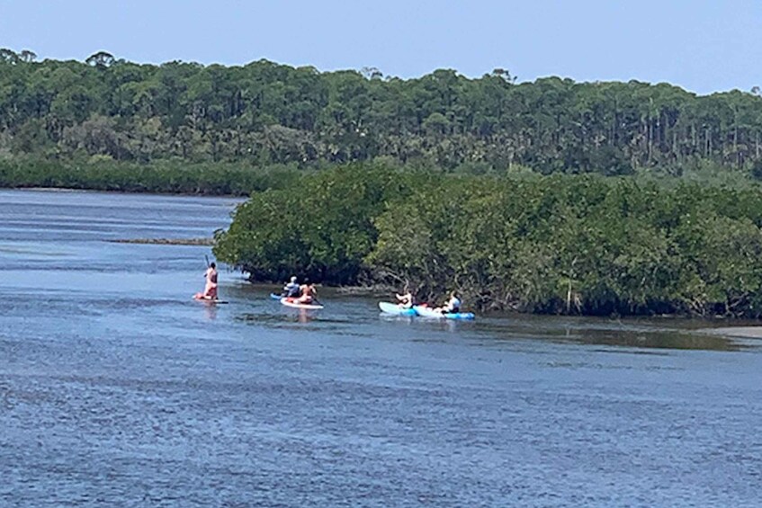 Picture 1 for Activity New Smyrna: Half-Day Guided SUP or Kayak Waterways Tour