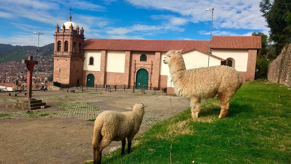 Picture 2 for Activity Panoramic tour of Cusco with folkloric show| Cusco in family