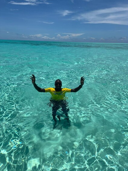 Picture 15 for Activity Dolphin tour and snorkeling at Mnemba island