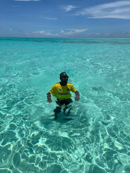 Picture 14 for Activity Dolphin tour and snorkeling at Mnemba island