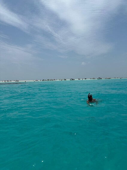 Picture 9 for Activity Dolphin tour and snorkeling at Mnemba island