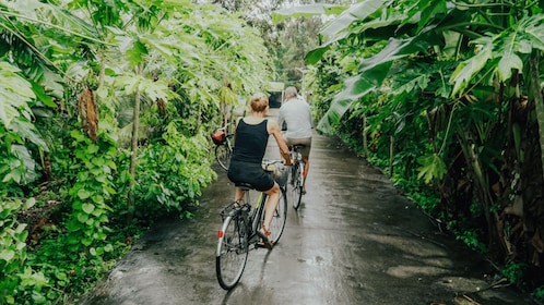 Can Tho: Cycling in the countryside