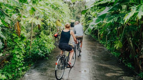 Can Tho: Cycling in the countryside