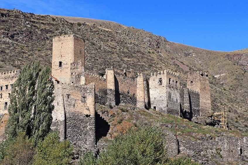 Picture 7 for Activity Vardzia, Rabati, and Borjomi Ancient Georgia Group Tour