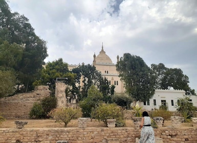 Carthage and Sidi Bou Said Tour