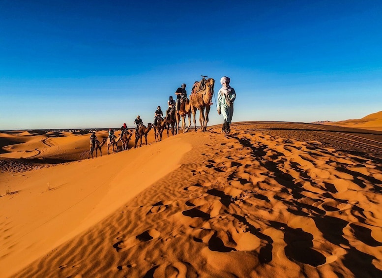 Picture 3 for Activity Doha: Quadbike, Dune Bashing, Camel Ride, Inland Sea Visit