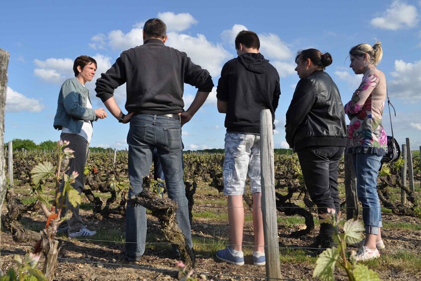 Picture 3 for Activity Loire Valley: Vouvray Vineyard Tour and Wine Tasting