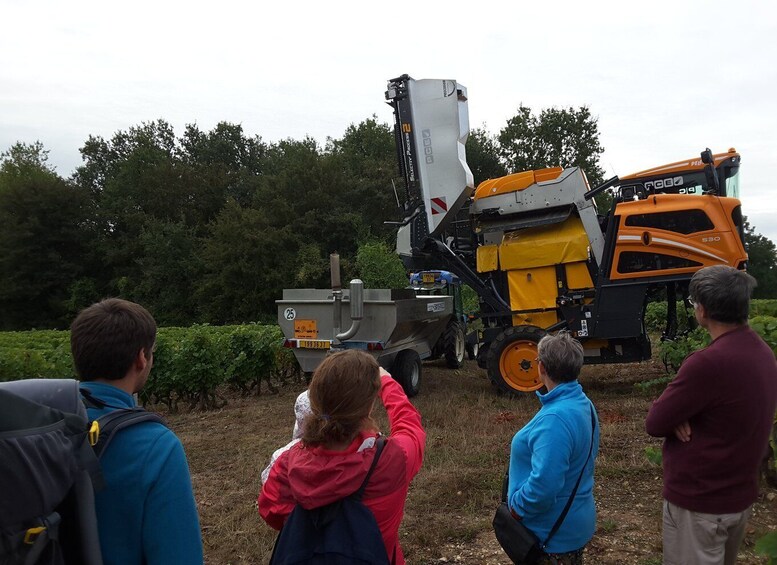 Picture 5 for Activity Loire Valley: Vouvray Vineyard Tour and Wine Tasting