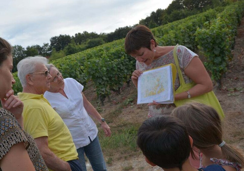 Picture 4 for Activity Loire Valley: Vouvray Vineyard Tour and Wine Tasting