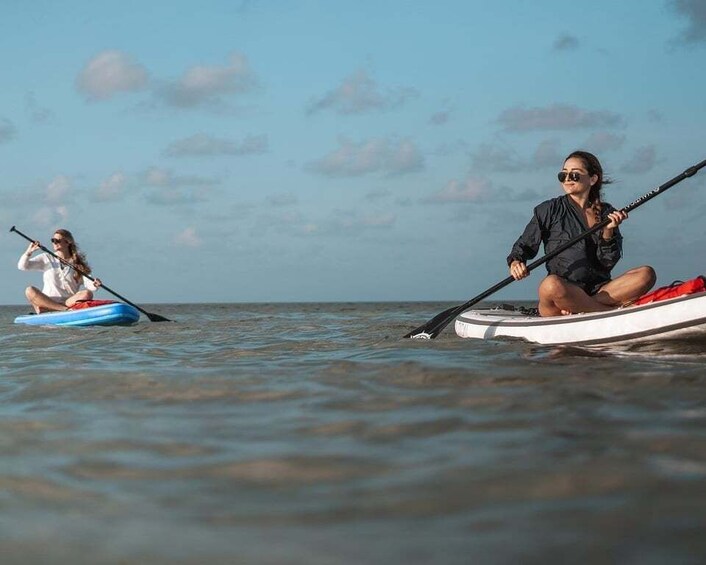 Picture 3 for Activity Los Cristianos : 1 Hour of Paddle surf Rental