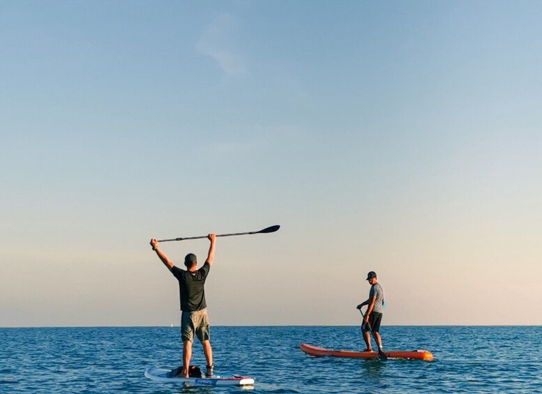 Picture 1 for Activity Los Cristianos : 1 Hour of Paddle surf Rental