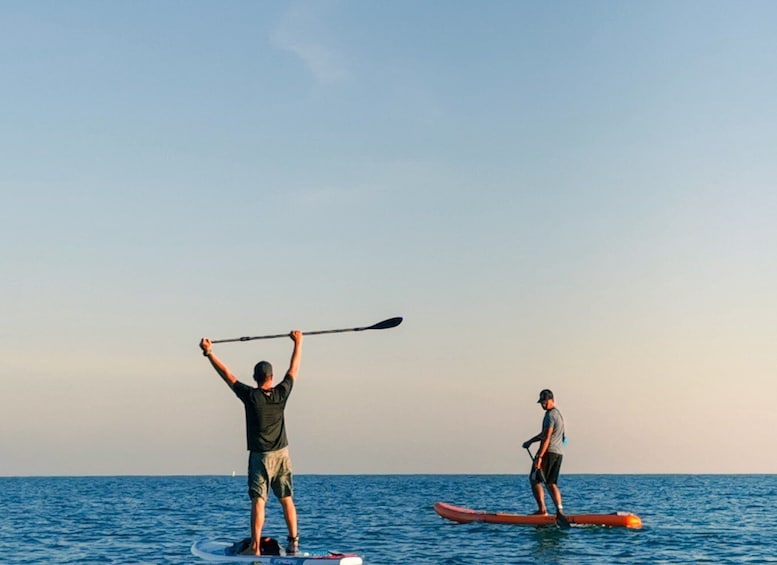 Picture 1 for Activity Los Cristianos : 1 Hour of Paddle surf Rental