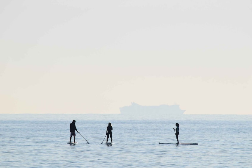 Picture 2 for Activity Los Cristianos : 1 Hour of Paddle surf Rental