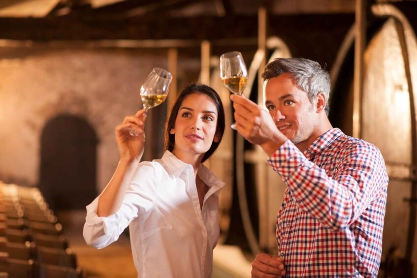Picture 2 for Activity Szczecin Wine Tasting Private Tour with Wine Expert