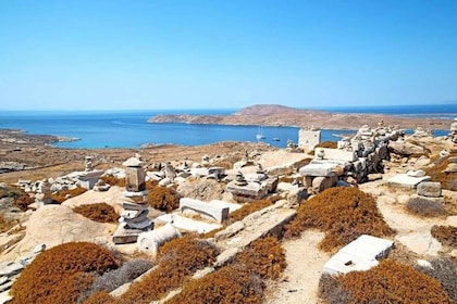 Delos og Mykonos - endagscruise fra Naxos