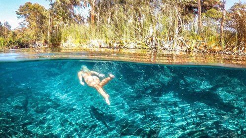 Katherine Gorge - Mataranka - Edith Falls - Adelaide River